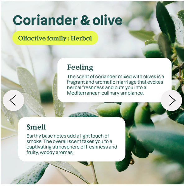 Eco Refill Box - Coriander & Olive Dish Soap (4Litres)