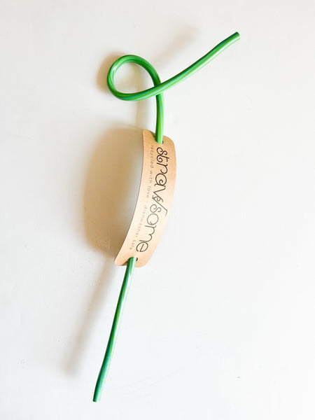 Strawsome Reusable Straws
