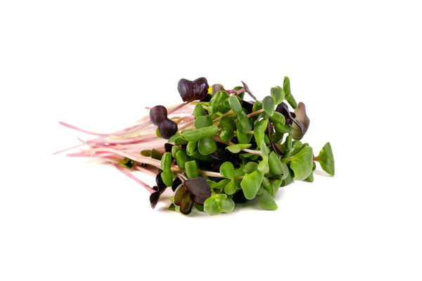 Rainbow Radish (100gr)