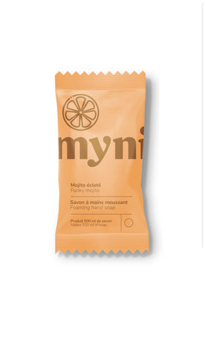 Foaming Hand Soap (Myni)