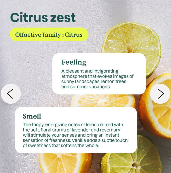 Eco Refill Box - Citrus Zest All Purpose Cleaner (4Litres)