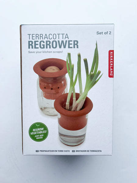 Terracotta Regrower